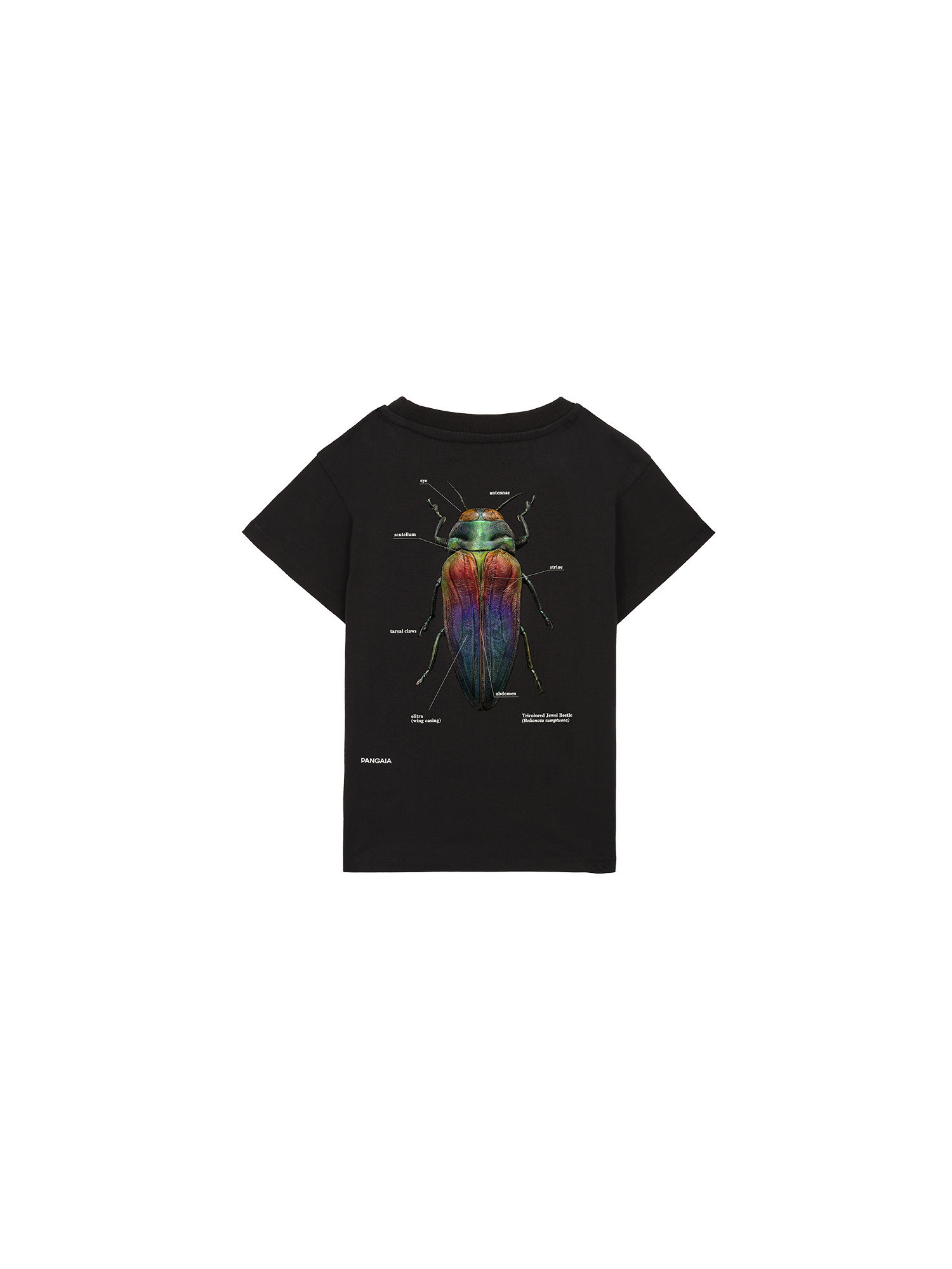 Kids-Levon-Biss-Graphic-T-Shirt-Black-packshot-3