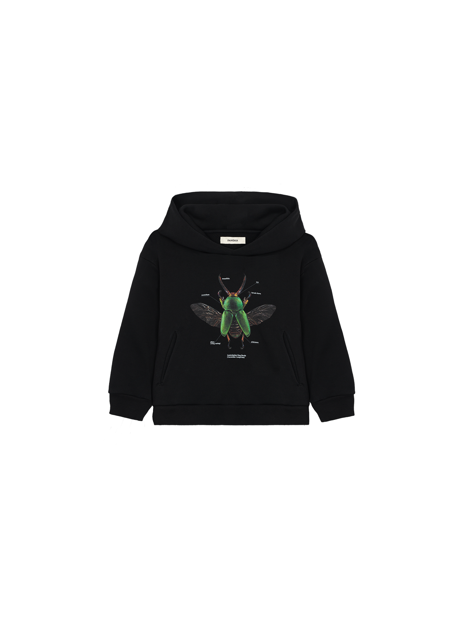 Kids-Levon-Biss-Saw-Tooth-Beetle-Hoodie-Black-packshot-3