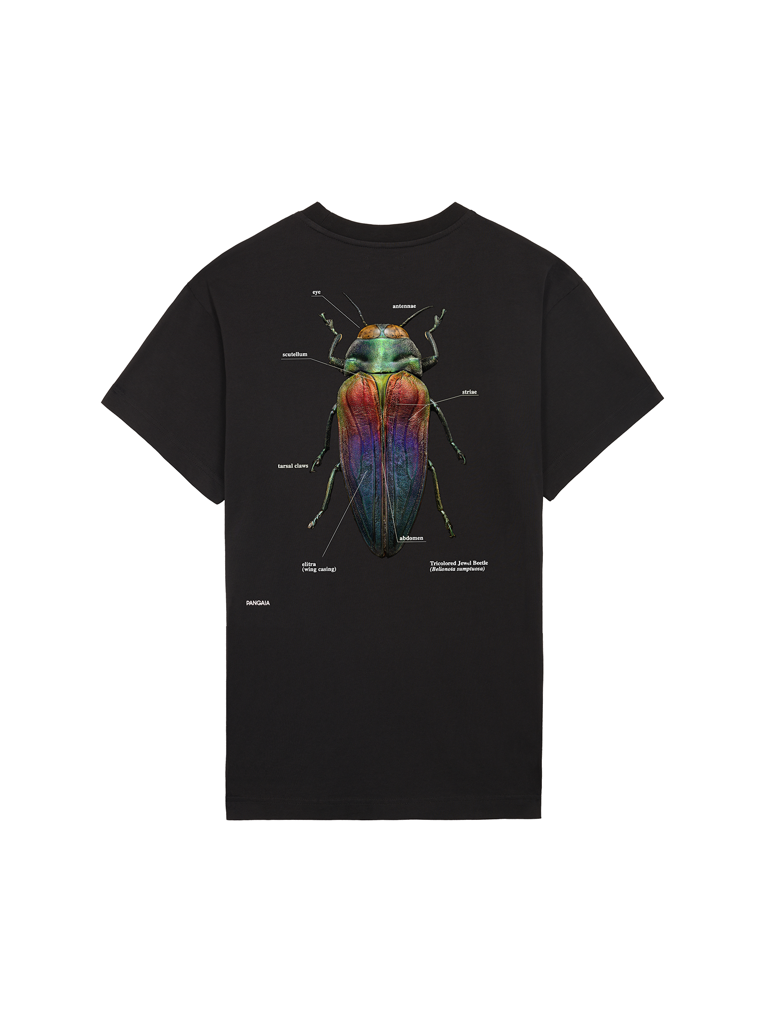 Levon-Biss-Splendid-Necked-Beetle-T-Shirt-Black-packshot-3